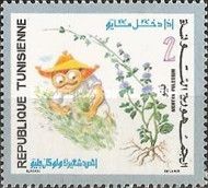 Mentha pulegium