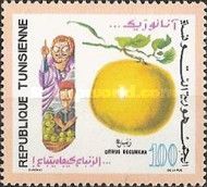 Grape Fruit