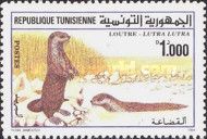 Eurasian Otter (Lutra lutra)