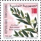Myrtle communis
