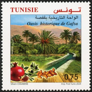 Historic Oasis of Gafsa