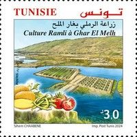 Ramli Culture of Ghar El Melh in Bizerte