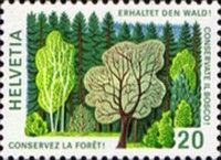 Forest Landscape