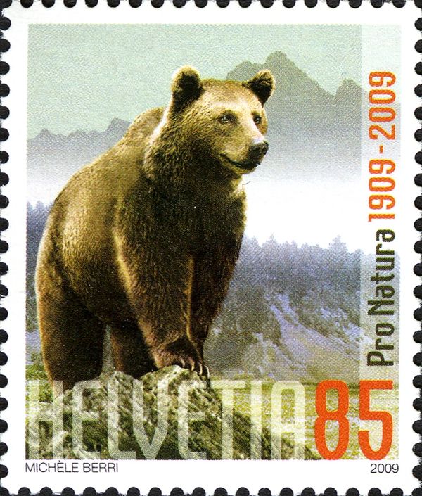 Brown Bear (Ursus arctos)