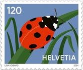 Ladybird
