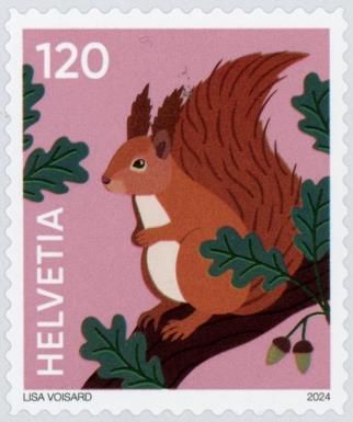 Squirrel