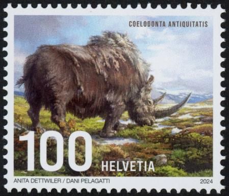 Woolly Rhinoceros