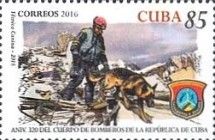Técnica canina 2016