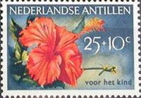 Chinese Rose Hibiscus (Hibiscus rosa-sinensis)