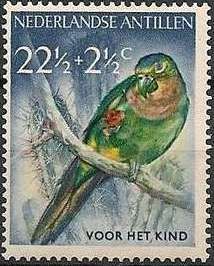 Brown-throated Parakeet (Eupsittula pertinax)