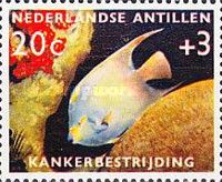 Queen Angelfish (Holacanthus ciliaris)