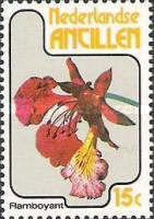 Flamboyant (Delonix regia)