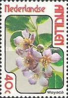 Wayaca or Pockwood (Guaiacum officinale)