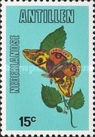 Moth (Polythysana rubrescens)