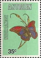 Shaded-Blue Leafwing (Prepona praeneste)
