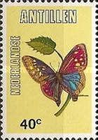 Butterfly (Morpho aega)