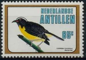 Bananaquit (Coereba flaveola)