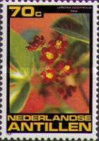 Flairo or Physio Nut (Jatropha gossypifolia)