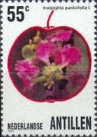 Acerola (Malpighia punicifolia)