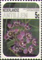 Katuna di Seda (Calotropis procera)