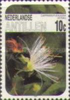 Stok (Capparis flexuosa)