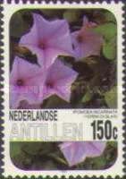 Ipomoea incarnata
