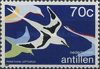White-tailed Tropicbird (Phaethon lepturus)