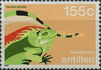 Green Iguana (Iguana iguana)
