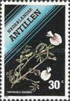 Tephrosia cinerea