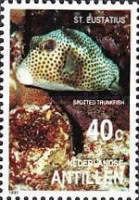 Spotted Trunkfish (Lactophrys bicaudalis)