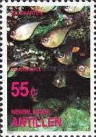 Silver Sweeper (Pempheris oualensis)