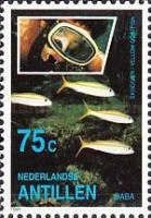 Skindiver, Yellow Goatfish (Mulloidichthys martinicus)