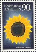 Sunflower (Helianthus annuus)