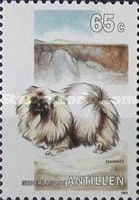 Pekinese (Canis lupus familiaris)