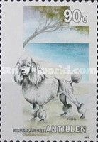 Poodle (Canis lupus familiaris)