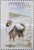 Pomeranian (Canis lupus familiaris)