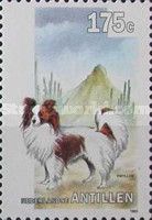 Papillon (Canis lupus familiaris)