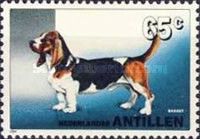 Basset Hound (Canis lupus familiaris)