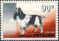 American Cocker Spaniel (Canis lupus familiaris)