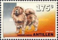Chow-Chow (Canis lupus familiaris)