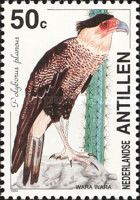 Crested Caracara (Polyborus plancus)