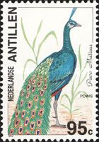 Green Peafowl (Pavo muticus) (see Description)