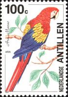 Scarlet Macaw (Ara macao)