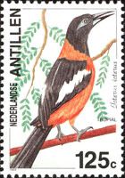 Venezuelan Troupial (Icterus icterus)