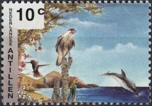 Caracara, hummingbird, parakeet, dolphin