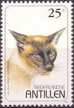 Siamese Sealpoint (Felis silvestris catus)