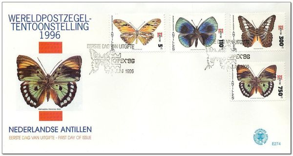 Magnificent Forester (Euphaedra francina)