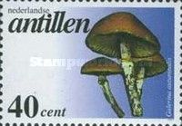Galerina autumnalis