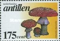 Amanita muscaria