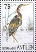 Purple Heron (Ardea purpurea)